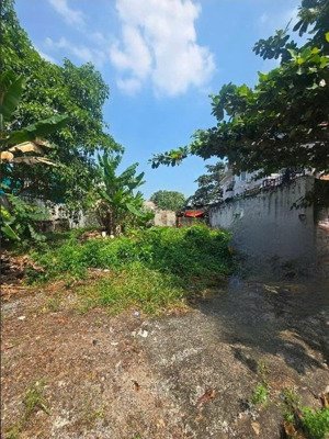 hiếm ! đất xây biệt thự - ngay đổ xuân hợp - khu vip gia hoà - phường plb q9 - shr - chỉ 79tr/m2.