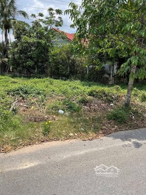 đất nền tại thị trấn cần đước, 430 triệu, 100m2, mặt tiền 5m, ngõ rộng 6m