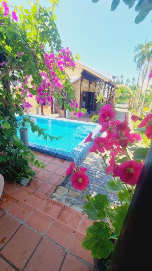 những căn home villa view lúa cánh đồng an mỹ cẩm châu