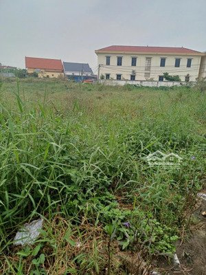 lô góc siêu đẹp 91,6m2 tại bàng la, đồ sơn, hải phòng