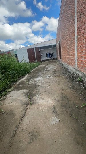 bán gấp 124m đất thổ ở ấp lộc hậu - mỹ lộc . shr chính chủ, gía bán 420tr . lh thanh