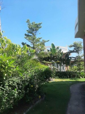 bán biệt thự đơn lập view biển paraside hoa tiên, hà tĩnh: 464m2. hoàn thiện đẹp. 13.5 tỷ tl nhanh