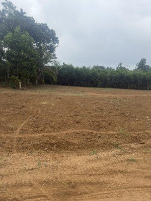 bán đất tại đường hồ chí minh ngọc lặc thanh hoá , 270 triệu, 89m2, pháp lý đầy đủ