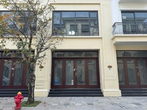 căn liền kề 65m cọ xanh đầu tư ngon nhất vinhomes ocean park2