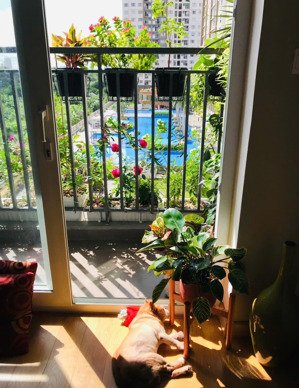 bán gấp căn hộ the park residence giá siêu hiếm 2pn chỉ 3tỷ