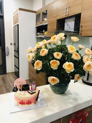 hiếm !! bán căn 2 ngủ 2w - 75m tòa tràng an complex ntcb giá 8.65 tỷ có thương lượng