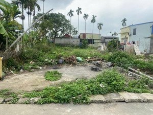 bán lô đất 81mv chính chủ tại trường thành , an lão ( an trường ) hải phòng