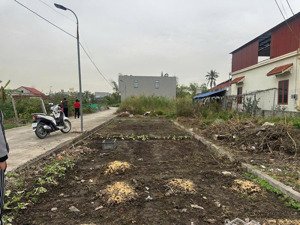 bán lô đất 70,2mv chính chủ tại thôn đâu kiên quốc tuấn an lão hải phòng