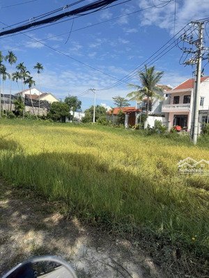 tuyệt phẩm view lúa, mặt tiền cửa đại, hội an, 402m2, ngang 12m, giá chỉ nhỉnh 20 tỷ