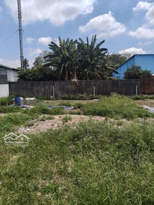 bán lô đất sổ hồng riêng đường tân hiệp 30 vào