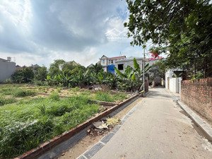 bán đất tại thôn gà, đường cổ loa, 6,5 tỷ, 85,4m2, giá siêu hời