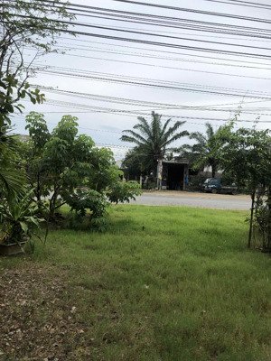 bán đất tại 1668, quốc lộ 1a, 3 tỷ vnd, 2201 m2, giá siêu hời