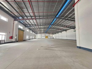 cho thuê kho xưởng siêu vip 1035m2 đường phan văn trị, p. thông tây hội, q. gò vấp.