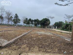 -BẢNG HÀNG 5 LÔ ĐẤT CỬA NGÕ VÀO KCN 213HA PHÚ SƠN