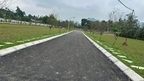 bán đất giáp dự án sungroup 585 ha hơn 400 triệu 70m2 cách chợ và đường tl12b chỉ 300m sẵn sổ hồng