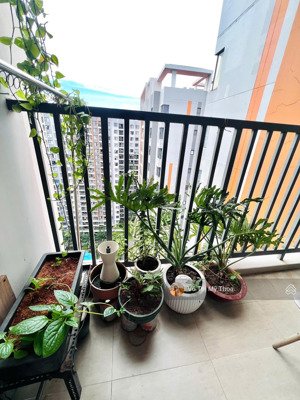 không thể bỏ lỡ hàng hiếm giá tốt: safira 2pn 2wc ntcb 8 triệu (có máy lạnh)