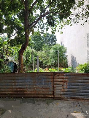 hàng hiếm, 1 lô duy nhất! lô đất chdv hxh ngang 13m dt: 183,3m2 dtsd: 236,7m2. giá chỉ 55tr/m2