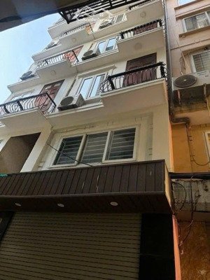 3 gác đỗ cửa, ngõ thông vòng quanh, hàng xóm timecity đầy đủ tiện ích, dt 26m2 x 6t,mt 4m,giá 6,95