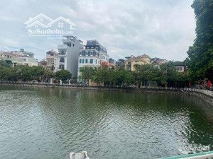 tt bồ đề gà đẻ trứng vàng dòng tiền khủng 720tr/năm