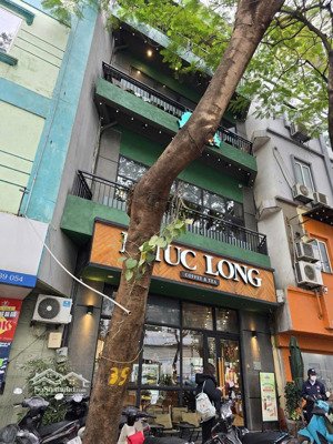 cho thuê nhà mặt phố tại cầu gỗ, 250 triệu, 220 m2, chính chủ giá cực chất