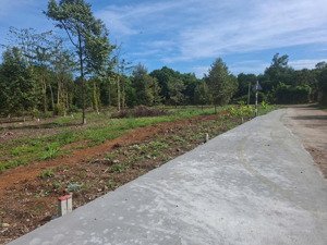 đất thổ cư sổ riêng diện tích 5x26 giá 690 triệu ở phường bình lộc long khánh đồng nai