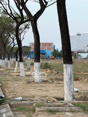 cơ hội đầu tư phân lô đất nền liền kề đường võ chí công