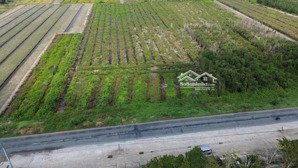 chính chủ bán 34.042,7m2 đất mặt tiền ql n2 thạnh lợi - liên hệ 