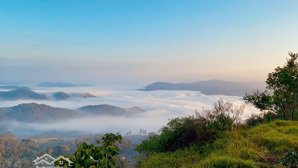 bán đất săn mây đồi chè cầu đất chính chủ có giấy tờ