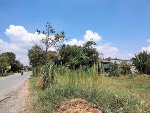 chính chủ bán 3.900m2 đất mặt tiền đường bàu trai - liên hệ 