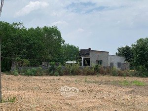 lô đất 1000m2 tại xã an phú, hớn quản, bình phước, nay là ấp 2, xã minh đức, đồng nai