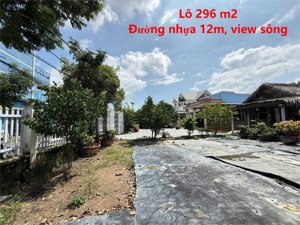 tôi cần bán gấp lô đất 296m2 - đất chính chủ tại xã lý nhơn, cần giờ - có vườn trái cây xịn