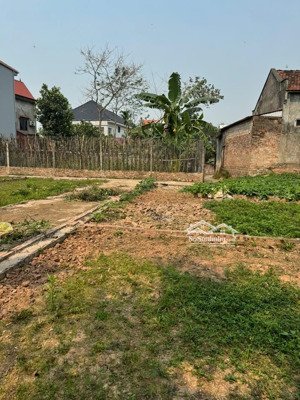 tôi cần bán đất 40m trạch lôi - phúc thọ - hà nội