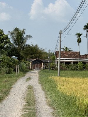 đất mỹ hạnh, đức hoà thượng cũ 8x20 - 171m2 - 750 triệu , đường ô tô, sổ hồng riêng