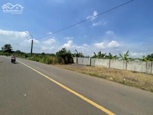 Cho thuê đất diện tích lớn 10.000m² tại xã Tân An, huyện Vĩnh Cửu