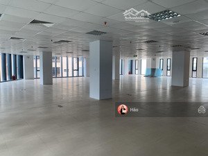 cho thuê tòa nhà văn phòng hàm long 233m2 x 5 tầng, có thang máy. có chỗ để xe thuận tiện
