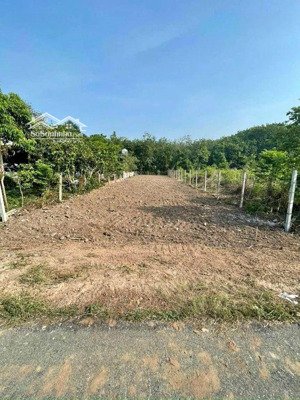 đất thổ cư sổ riêng diện tích 6x30m giá 850 triệu bảo vinh, long khánh, đồng nai