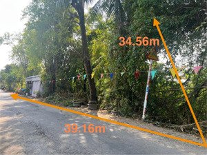 ngân hàng thanh lý lô đất 1107m2 tại xã tân hòa, huyện phú tân, an giang, 1,262 tỷ