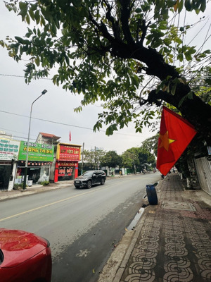 mặt tiền kinh doanh nguyễn thị tươi - tân đông hiệp- dĩ an - tp. hcm nhà cấp 4 mặt tiền kinh doanh