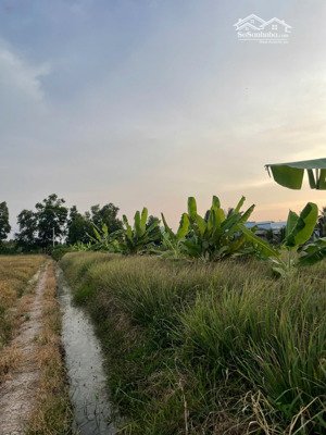 trọn thửa: 499 triệu | 3,400m2 đất vườn có thổ cư diện tích lớn - đường đi chung giá rẻ