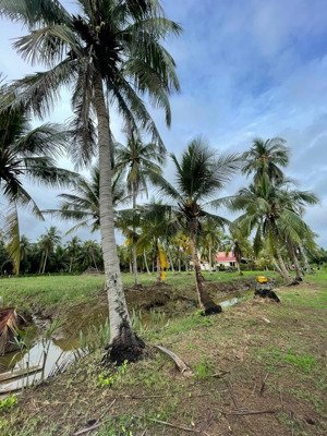 4.400m² đất giáp rạch 150m² thổ cư gần chợ rạch vách cù lao tân phú đông