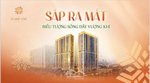 mở bán dự án cc cao cấp flame vine thuộc kđt hinode royal park