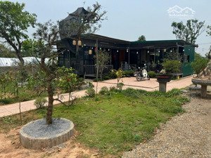 bán đất trồng lúa đã có sổ có nhà xưởng ô tô container vào tận đất, đường thông kinh doanh