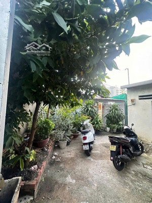 bán nhà hẻm phạm thế hiển p5 diện tích khủng, tiện xây nhà sân vườn hoặc chdv cho thuê