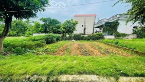 chỉ với 3 ,2 tỉ anh chị đã có ngay lô đất 150m /60m đất ở tại hoà trúc , phú cát ,hà nội