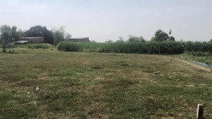 cần bán đất tân mỹ đức hòa, long an