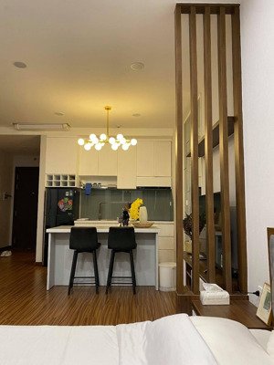 cho thuê officetel sunrise cityview q.7 giá chỉ từ 10tr/tháng, có nội thất