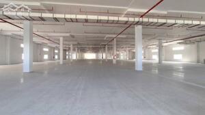 CHO THUÊ XƯỞNG HIỆN HỮU HOẶC NHẬN ĐẶT XÂY TRONG KCN BÌNH DƯƠNG (CTX217)