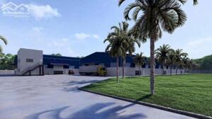 CHO THUÊ XƯỞNG UYÊN HƯNG TÂN UYÊN BÌNH DƯƠNG (CTX218)