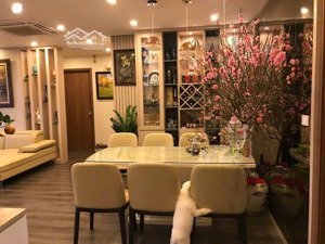 cần cho thuê gấp dự án d5c trần thái tông 100m 3n2wc giá 16tr lh 