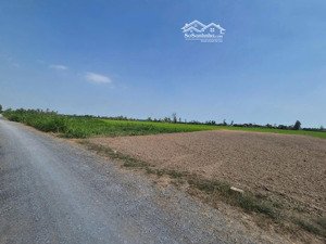 đất mặt tiền f0 275mv 330triệu gò công tây tiền giang